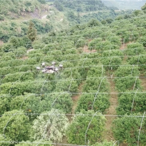 最強植保神器！常鋒無人機攜碾壓級優勢殺入果樹飛防