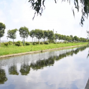 無人機巡河讓河道監管無盲區