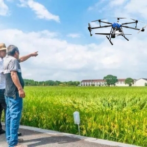 無人機播種，一天300畝