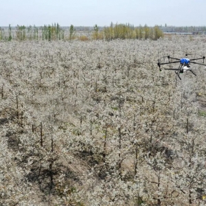 無人機 田間地頭看新疆高質量發展
