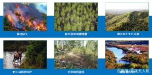 無人機林草區應用解決方案